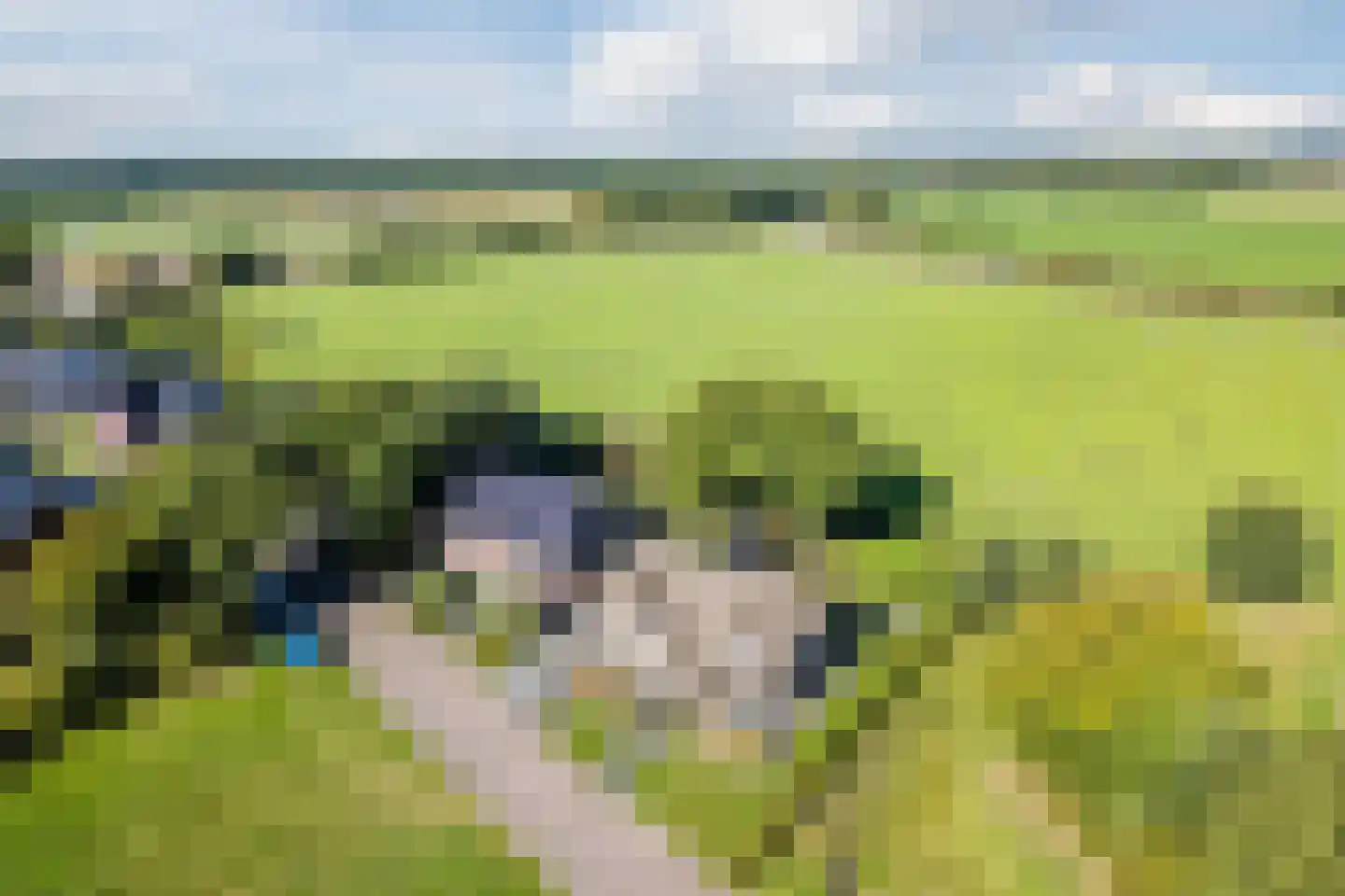 Wethouder Slootstraat 1 Tuk thumbnail 53