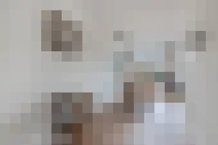 Wethouder Slootstraat 12 Tuk thumbnail 10
