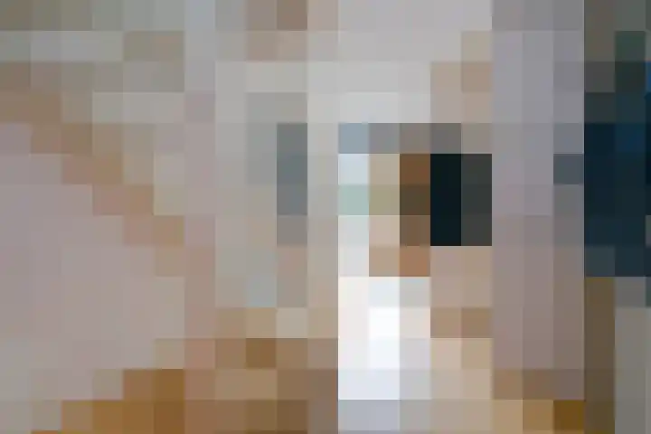 Wethouder Sonneveldhof 3 Delfgauw thumbnail 10