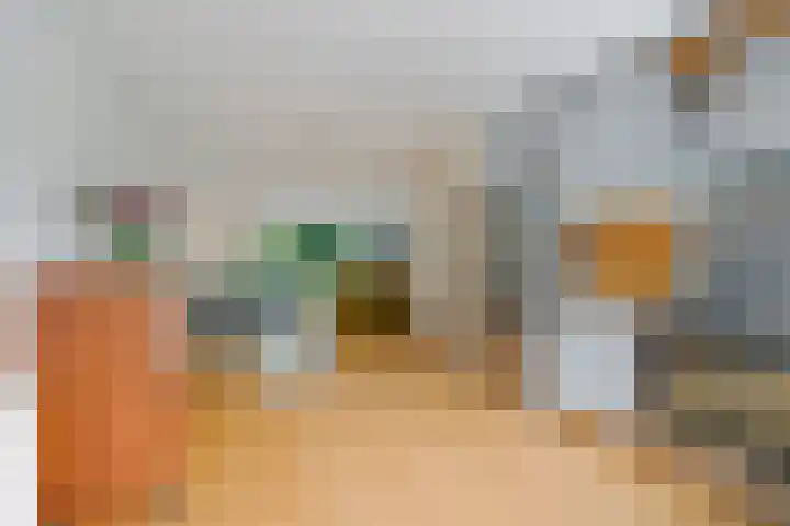 Wethouder Sonneveldhof 3 Delfgauw thumbnail 13