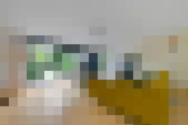 Wethouder Sonneveldhof 3 Delfgauw thumbnail 14