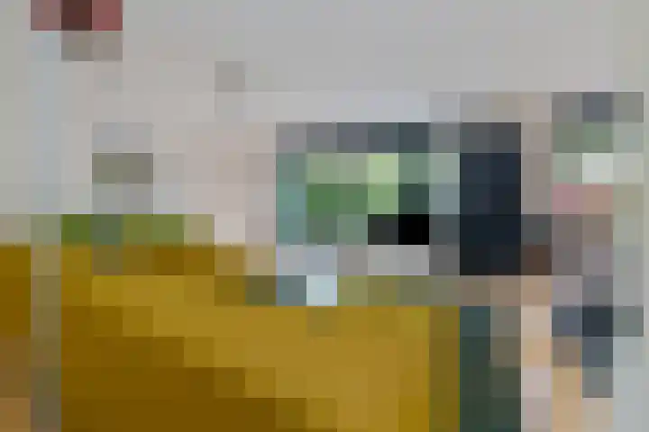 Wethouder Sonneveldhof 3 Delfgauw thumbnail 15