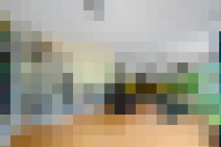 Wethouder Sonneveldhof 3 Delfgauw thumbnail 17