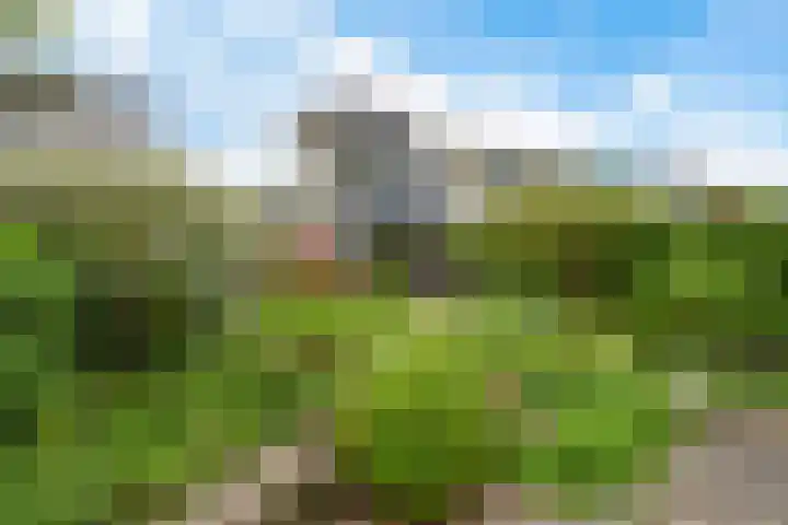 Wethouder Sonneveldhof 3 Delfgauw thumbnail 20