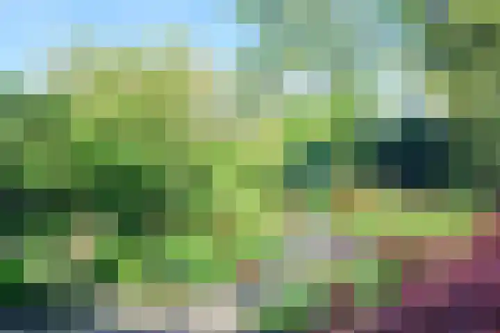 Wethouder Sonneveldhof 3 Delfgauw thumbnail 21
