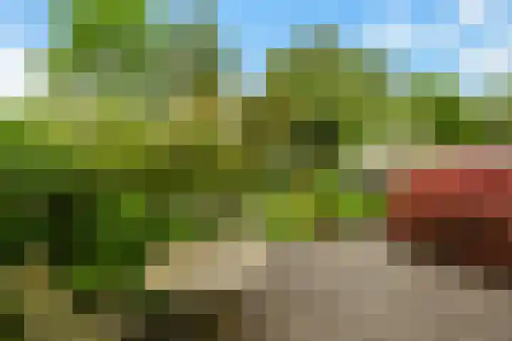 Wethouder Sonneveldhof 3 Delfgauw thumbnail 22