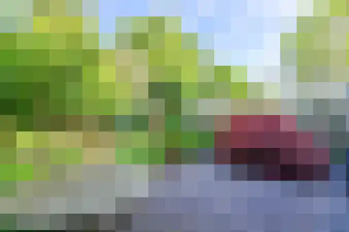 Wethouder Sonneveldhof 3 Delfgauw thumbnail 23