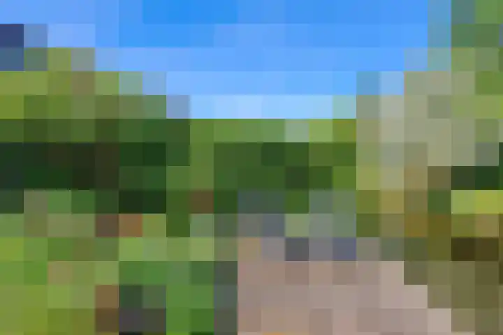 Wethouder Sonneveldhof 3 Delfgauw thumbnail 25