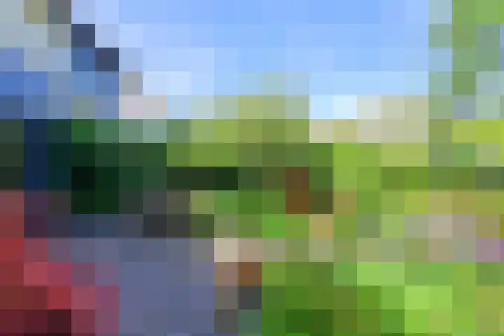 Wethouder Sonneveldhof 3 Delfgauw thumbnail 26