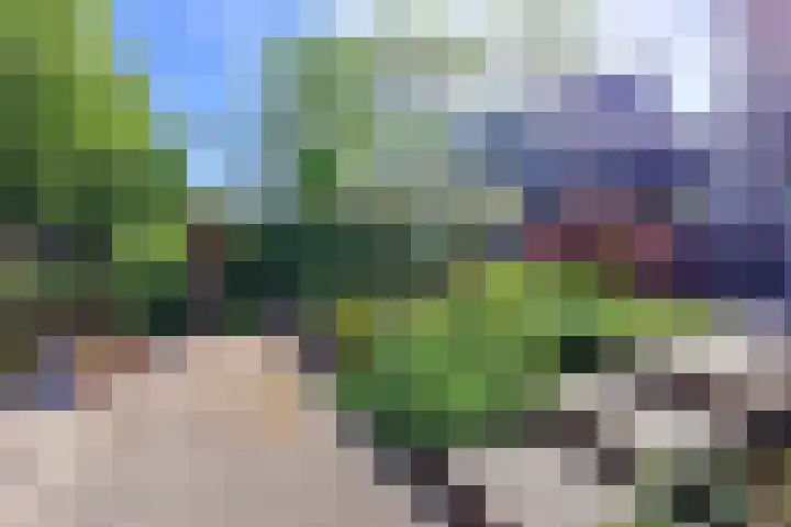 Wethouder Sonneveldhof 3 Delfgauw thumbnail 27