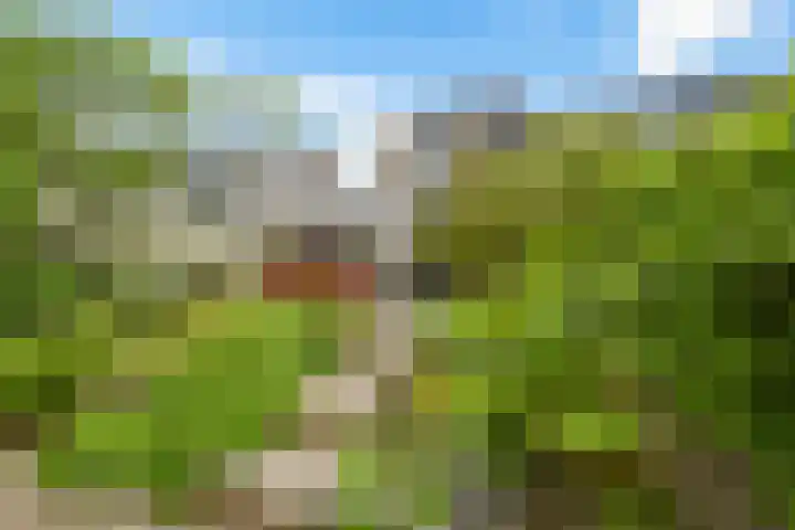 Wethouder Sonneveldhof 3 Delfgauw thumbnail 28