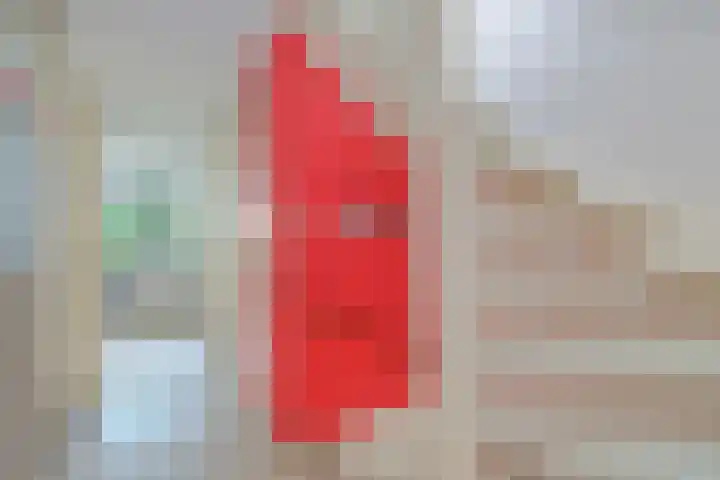 Wethouder Sonneveldhof 3 Delfgauw thumbnail 30