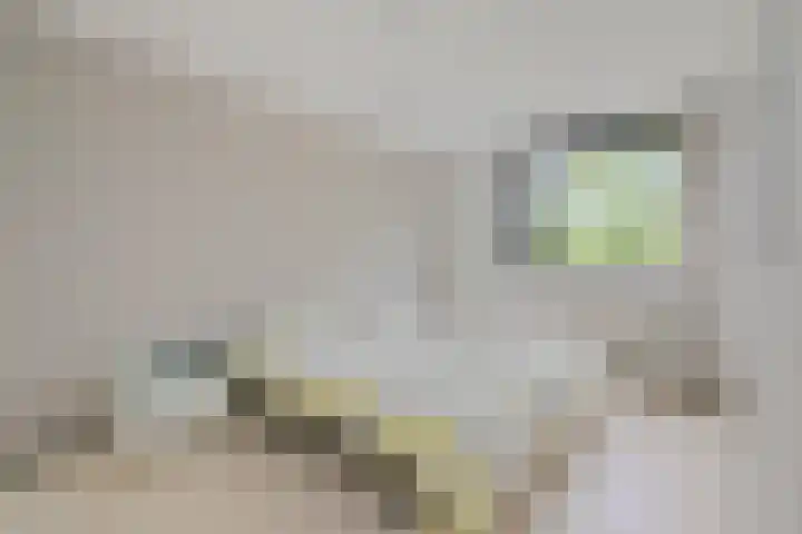 Wethouder Sonneveldhof 3 Delfgauw thumbnail 31