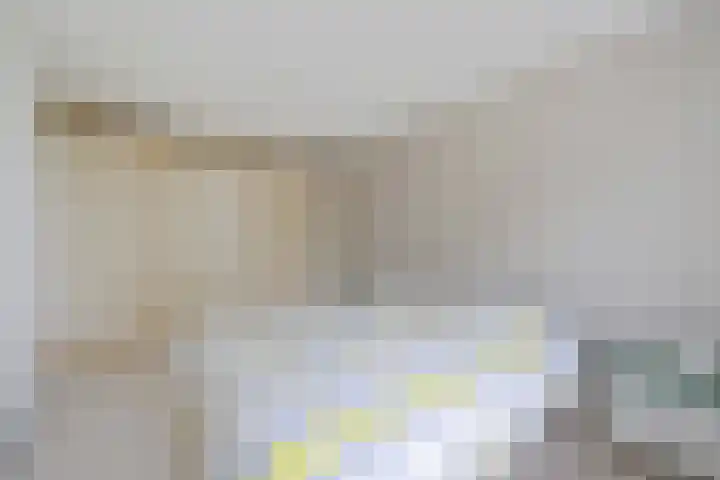 Wethouder Sonneveldhof 3 Delfgauw thumbnail 32