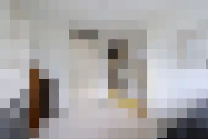 Wethouder Sonneveldhof 3 Delfgauw thumbnail 34