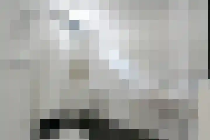 Wethouder Sonneveldhof 3 Delfgauw thumbnail 35