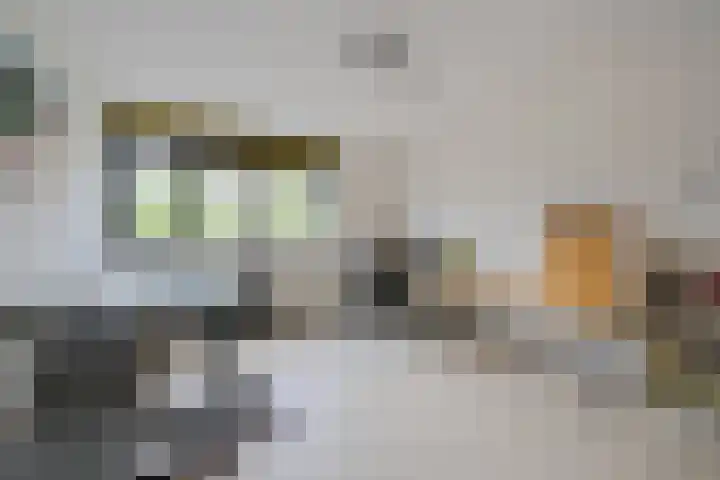 Wethouder Sonneveldhof 3 Delfgauw thumbnail 37