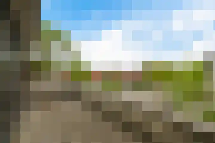 Wethouder Sonneveldhof 3 Delfgauw thumbnail 44