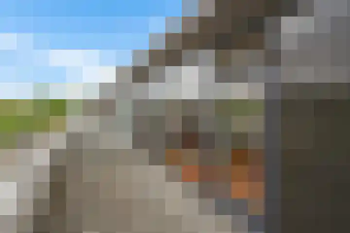 Wethouder Sonneveldhof 3 Delfgauw thumbnail 45