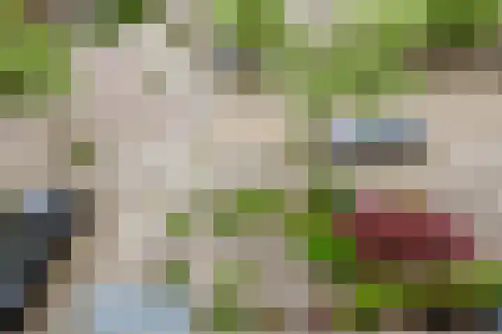 Wethouder Sonneveldhof 3 Delfgauw thumbnail 46