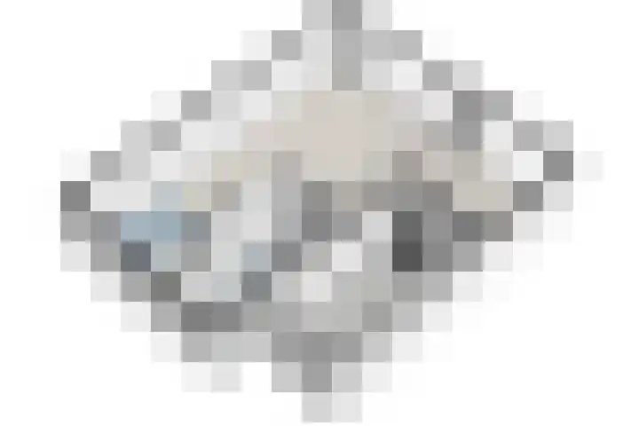 Wethouder Sonneveldhof 3 Delfgauw thumbnail 48