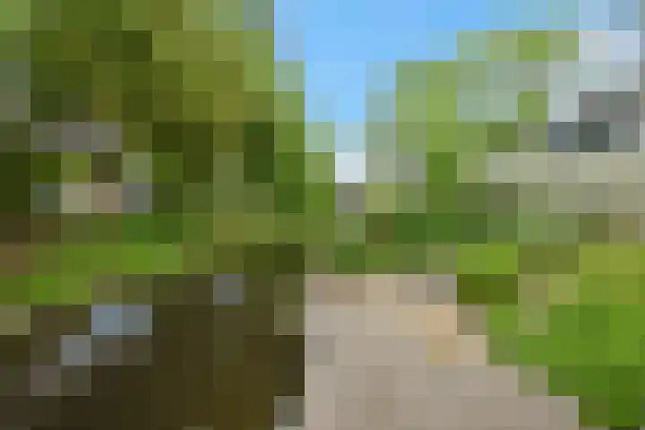 Wethouder Sonneveldhof 3 Delfgauw thumbnail 5