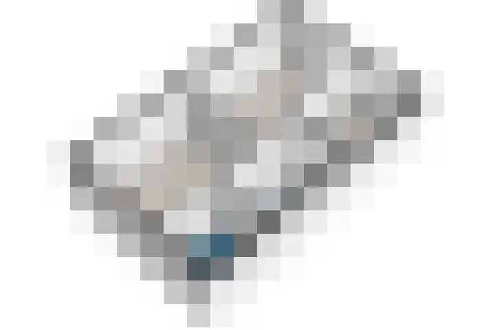 Wethouder Sonneveldhof 3 Delfgauw thumbnail 50