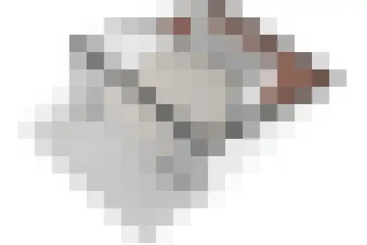 Wethouder Sonneveldhof 3 Delfgauw thumbnail 52