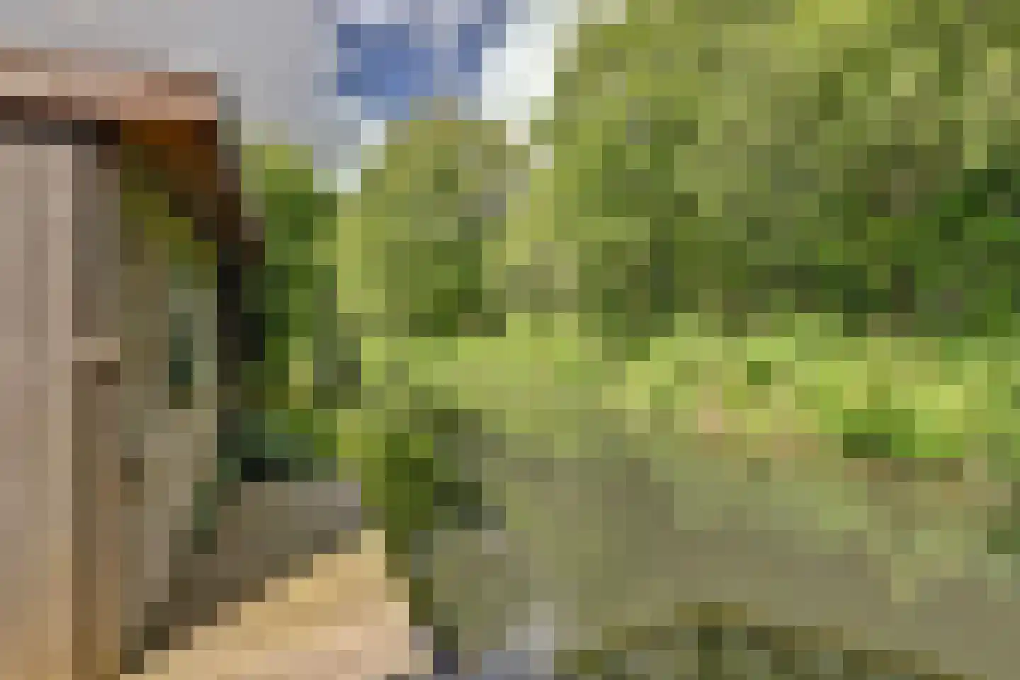 Wethouder Sonneveldhof 35 Delfgauw thumbnail 43