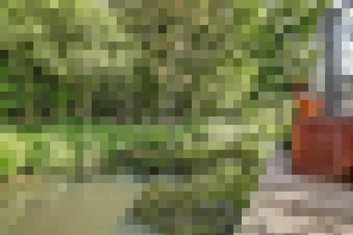 Wethouder Sonneveldhof 35 Delfgauw thumbnail 44