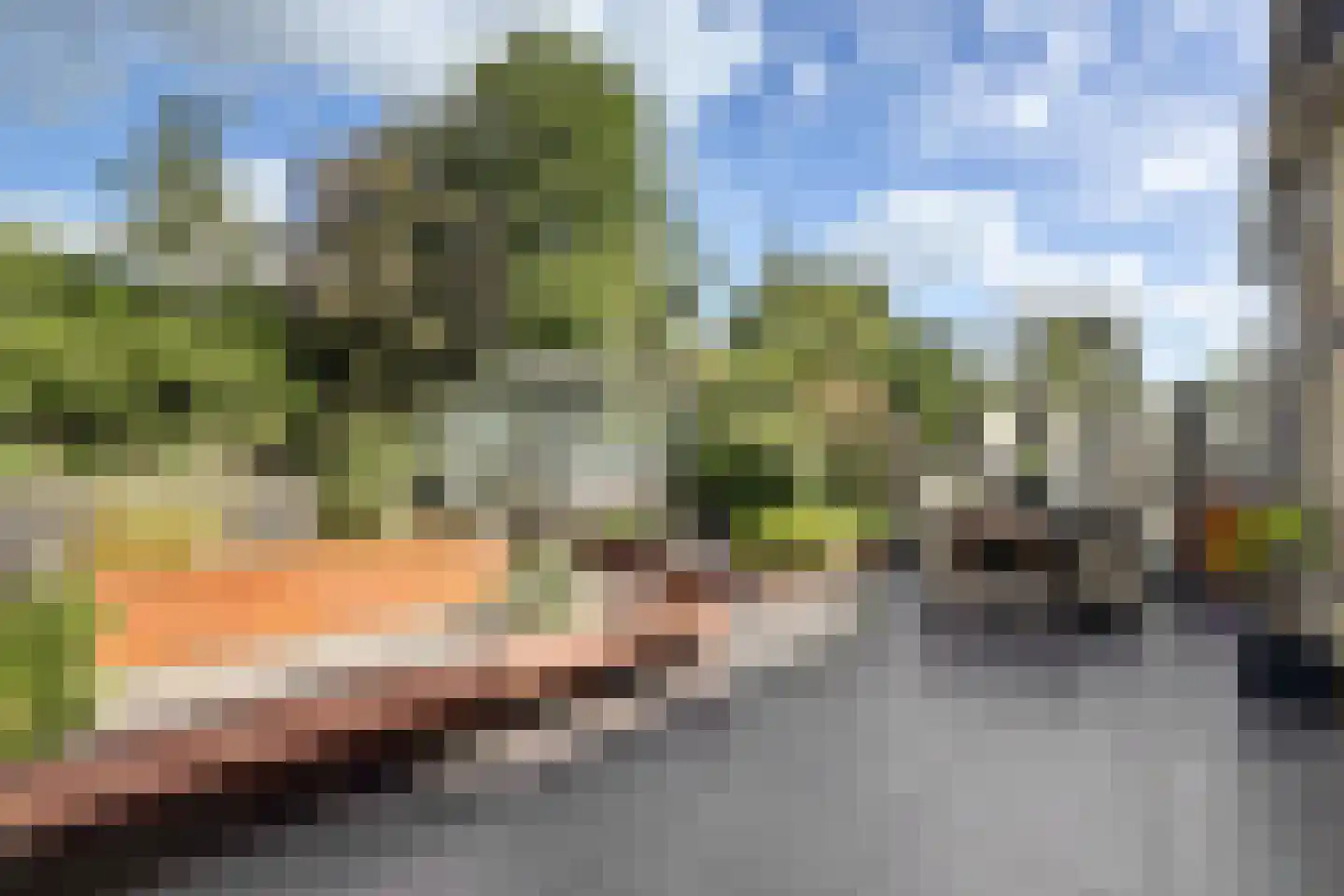 Wethouder Sonneveldhof 35 Delfgauw thumbnail 5