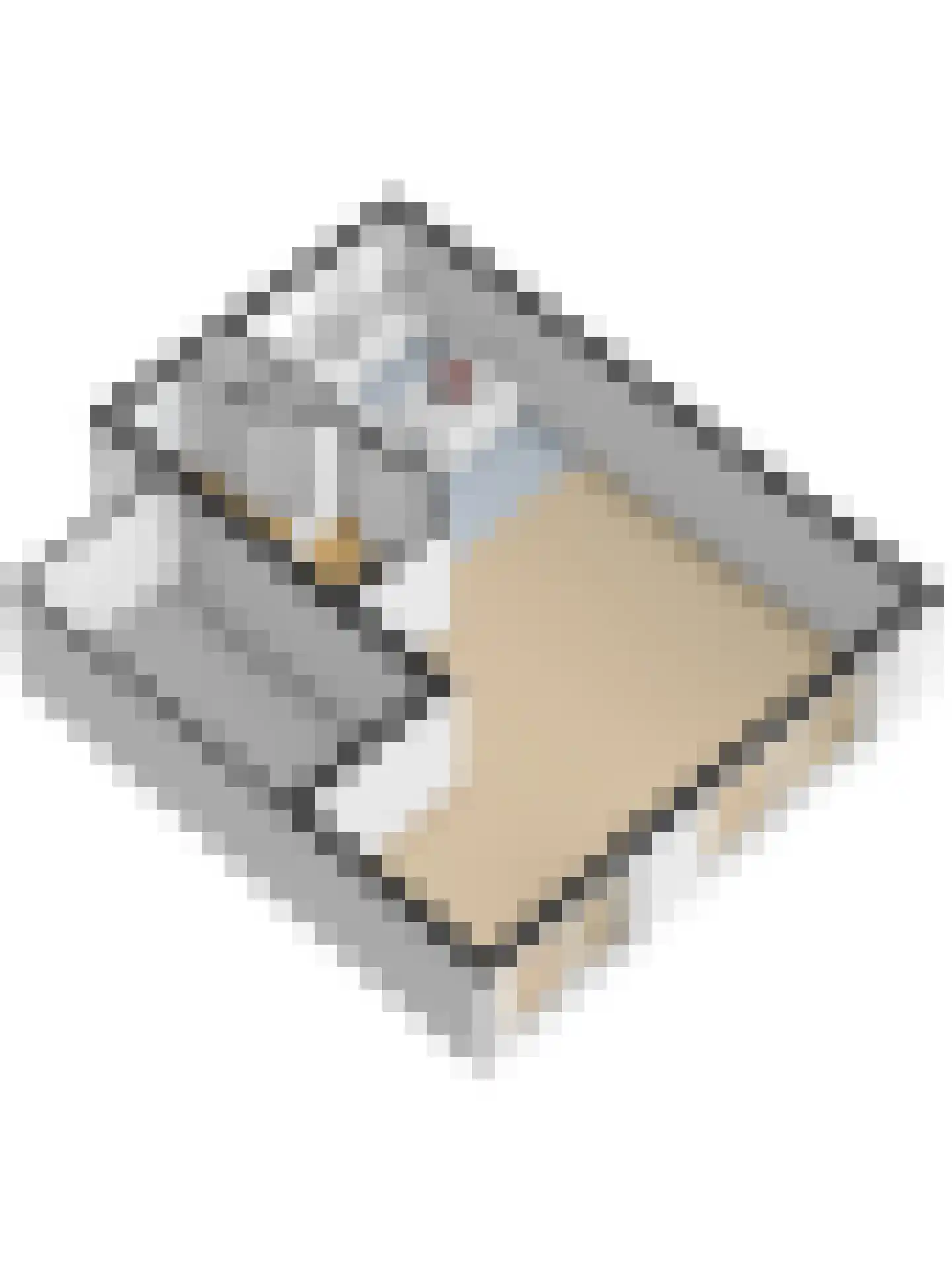 Wethouder Sonneveldhof 35 Delfgauw thumbnail 50