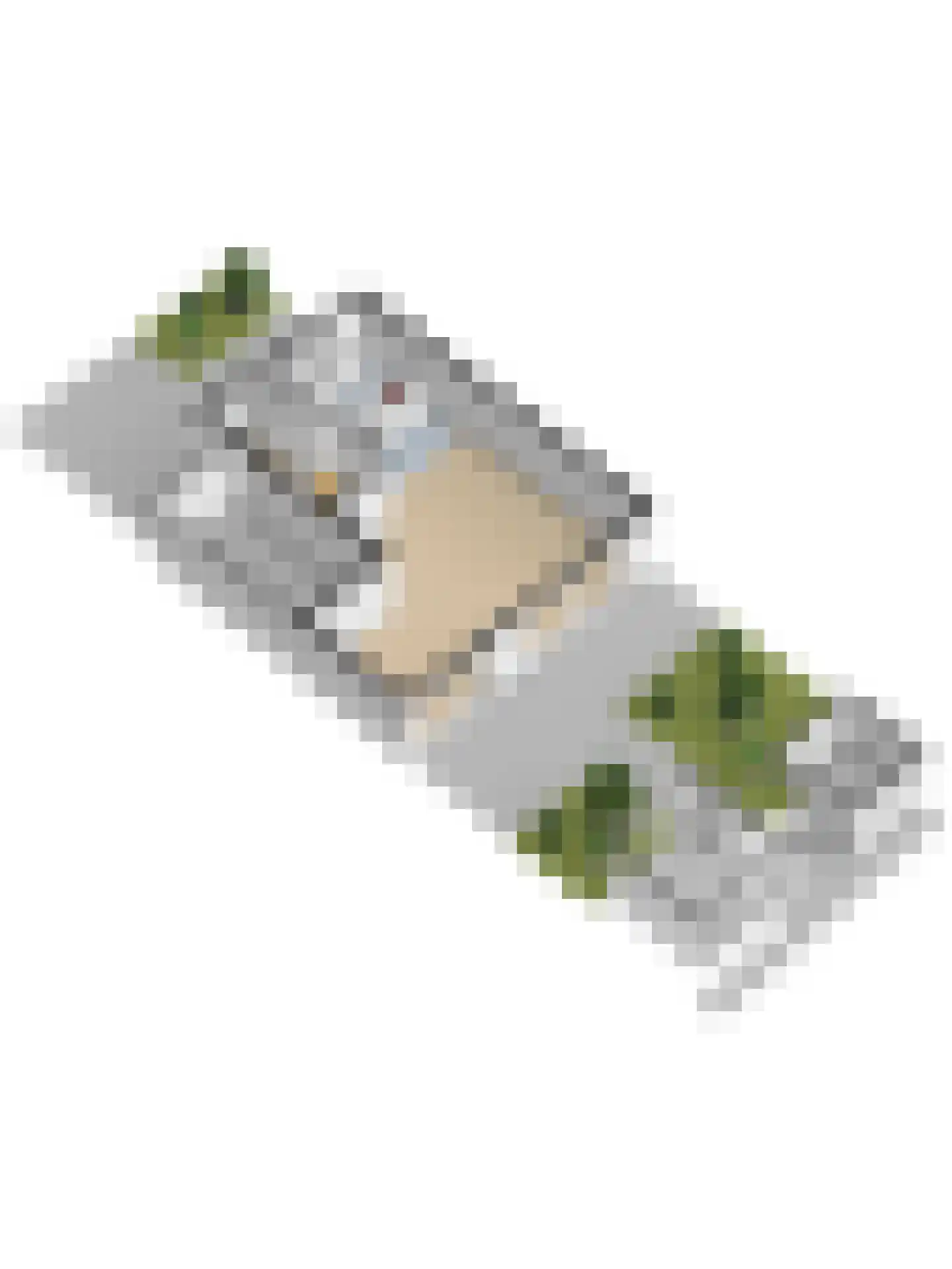 Wethouder Sonneveldhof 35 Delfgauw thumbnail 52