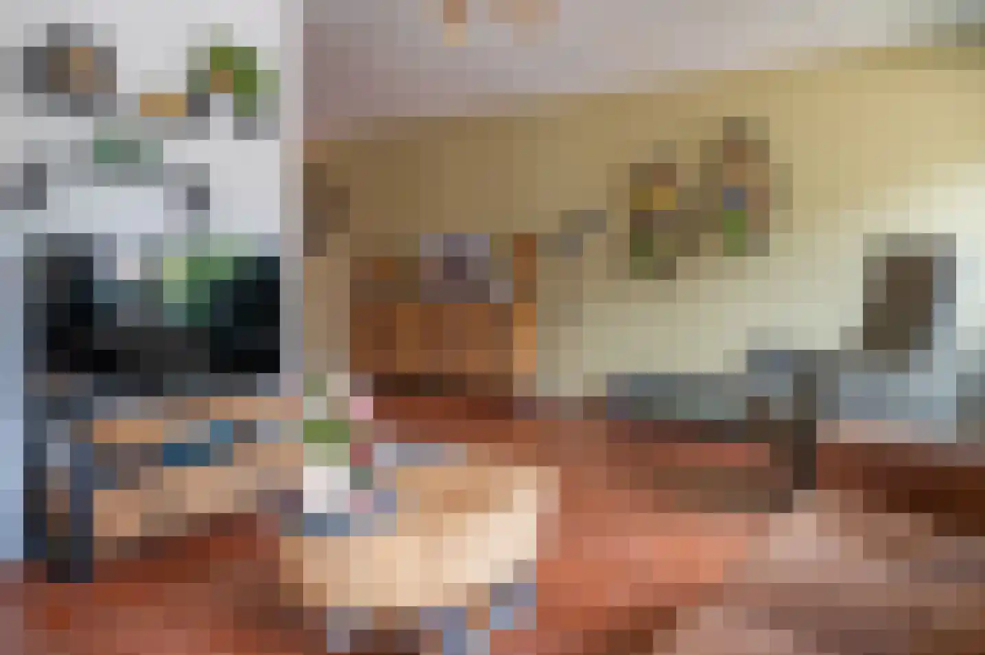 Wethouder Spekkinkstraat 14 Toldijk thumbnail 10