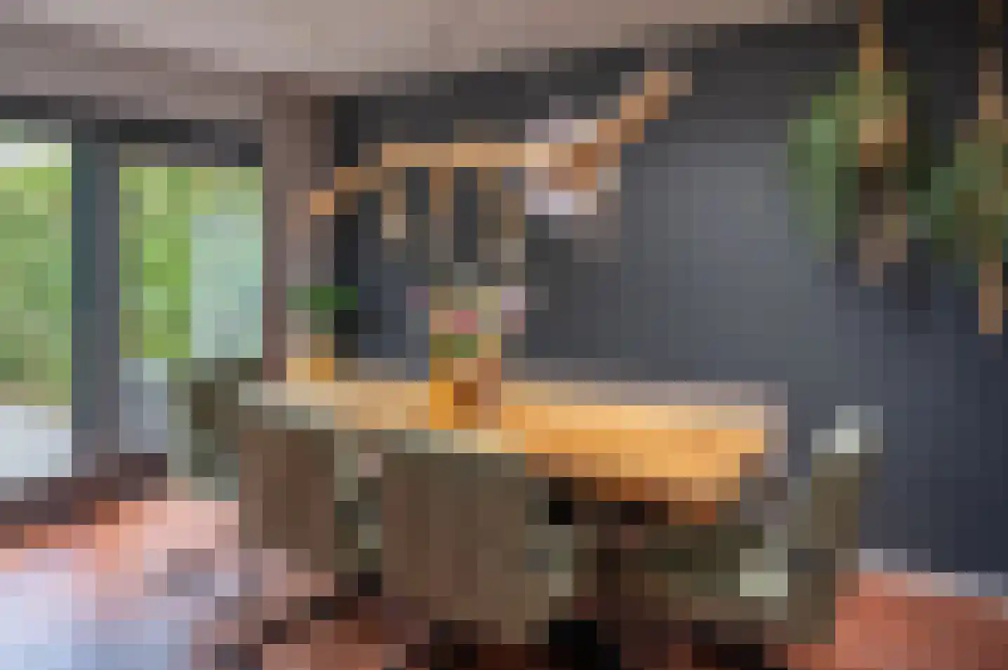 Wethouder Spekkinkstraat 14 Toldijk thumbnail 14