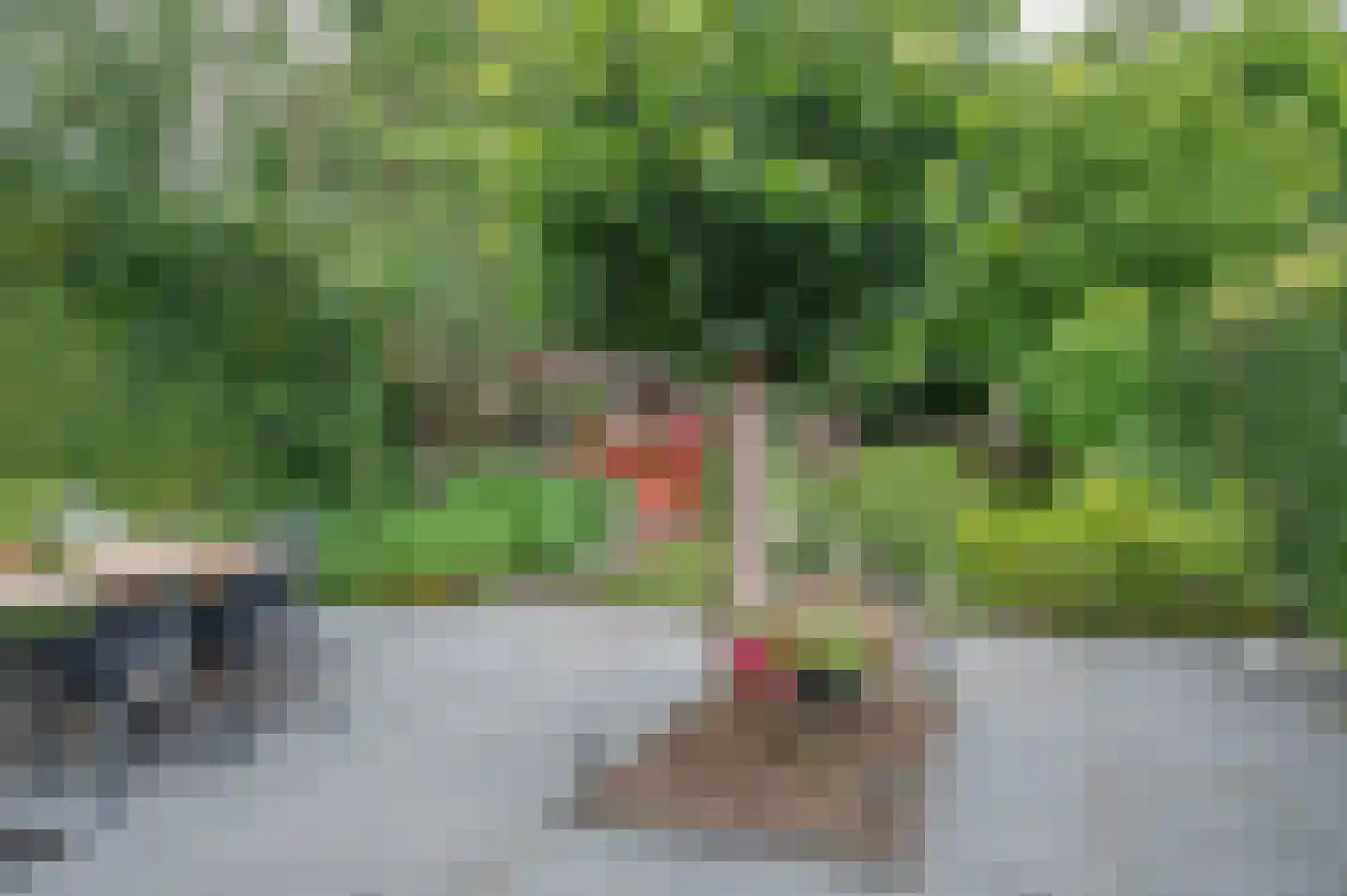 Wethouder Spekkinkstraat 14 Toldijk thumbnail 31