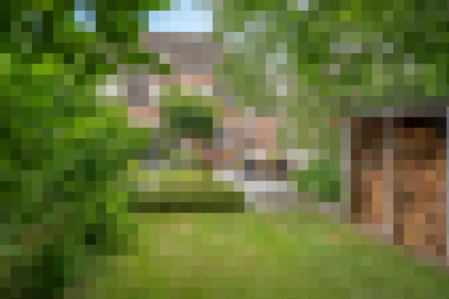 Wethouder Spekkinkstraat 14 Toldijk thumbnail 34