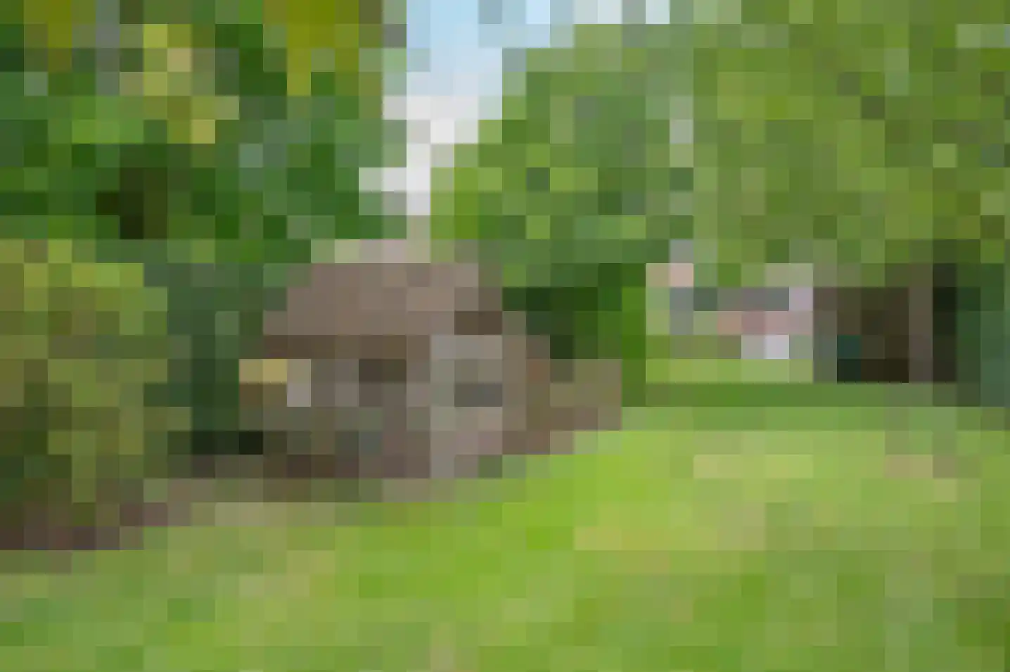 Wethouder Spekkinkstraat 14 Toldijk thumbnail 35