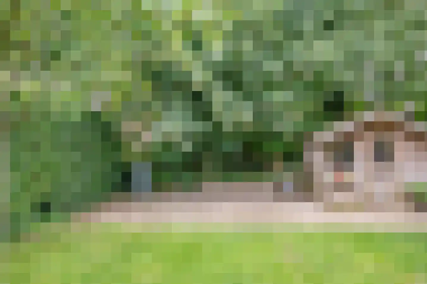 Wethouder Spekkinkstraat 14 Toldijk thumbnail 36