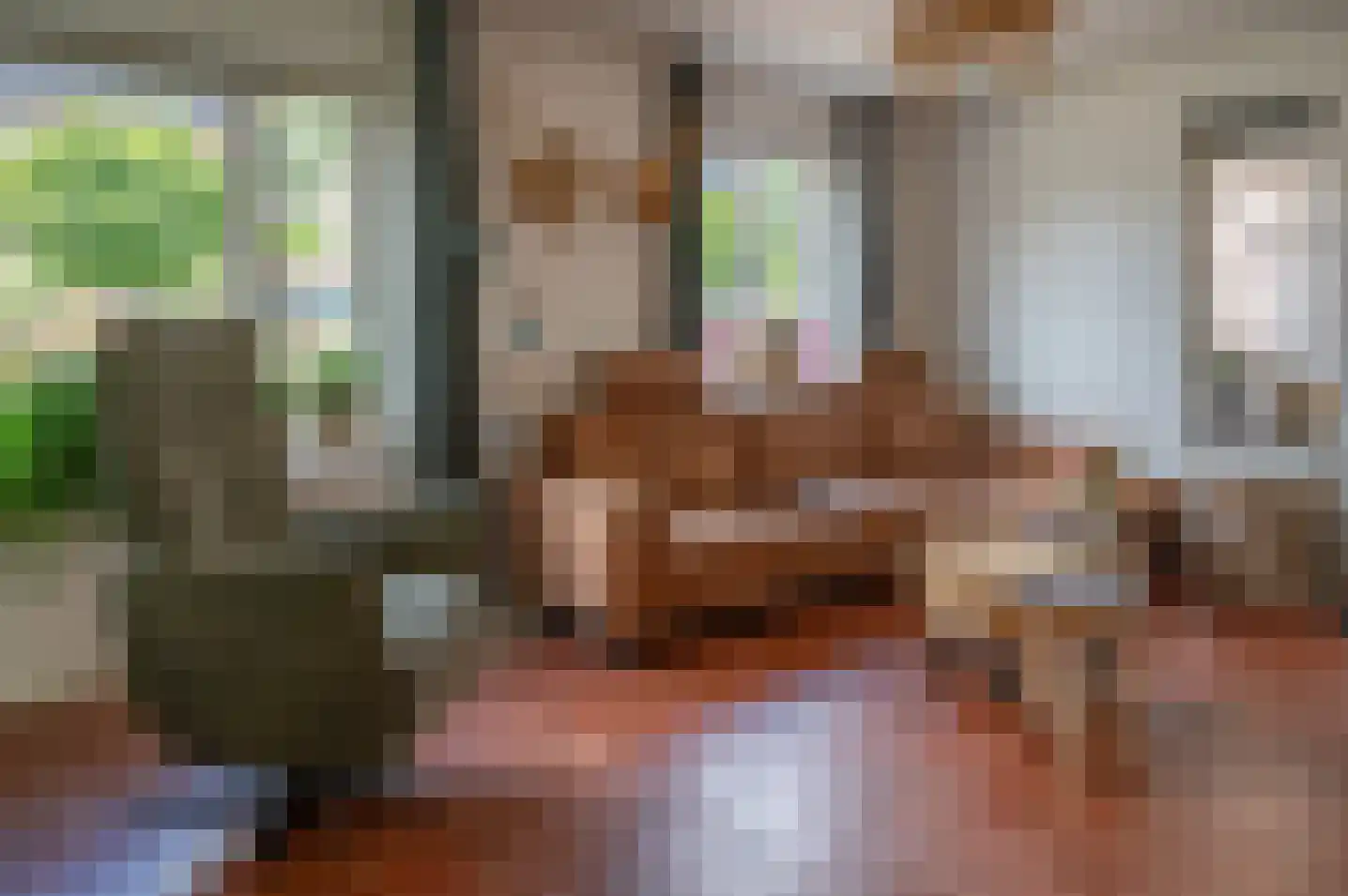 Wethouder Spekkinkstraat 14 Toldijk thumbnail 8