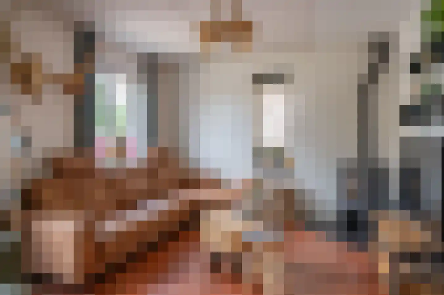 Wethouder Spekkinkstraat 14 Toldijk thumbnail 9