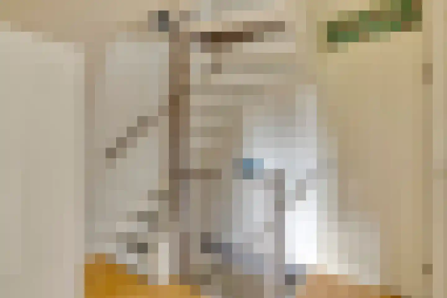 Wethouder Spekkinkstraat 18 Toldijk thumbnail 17