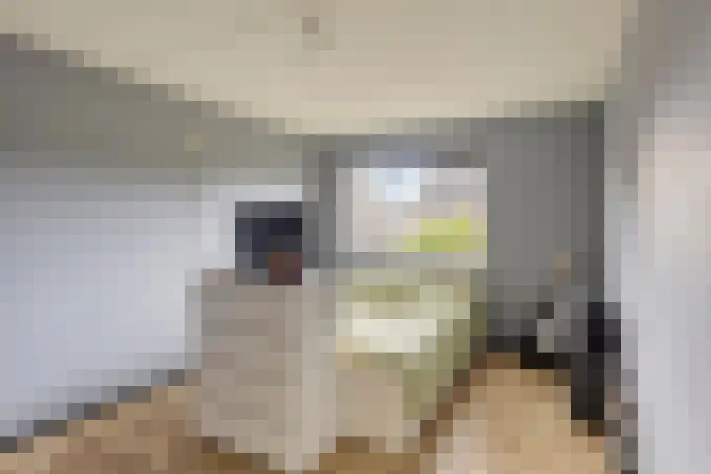Wethouder Spekkinkstraat 18 Toldijk thumbnail 18