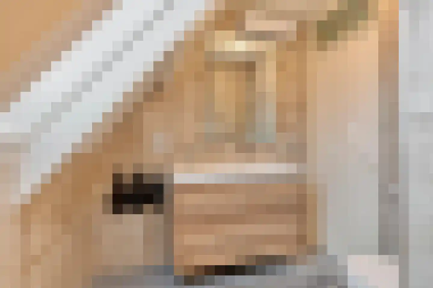 Wethouder Spekkinkstraat 18 Toldijk thumbnail 20