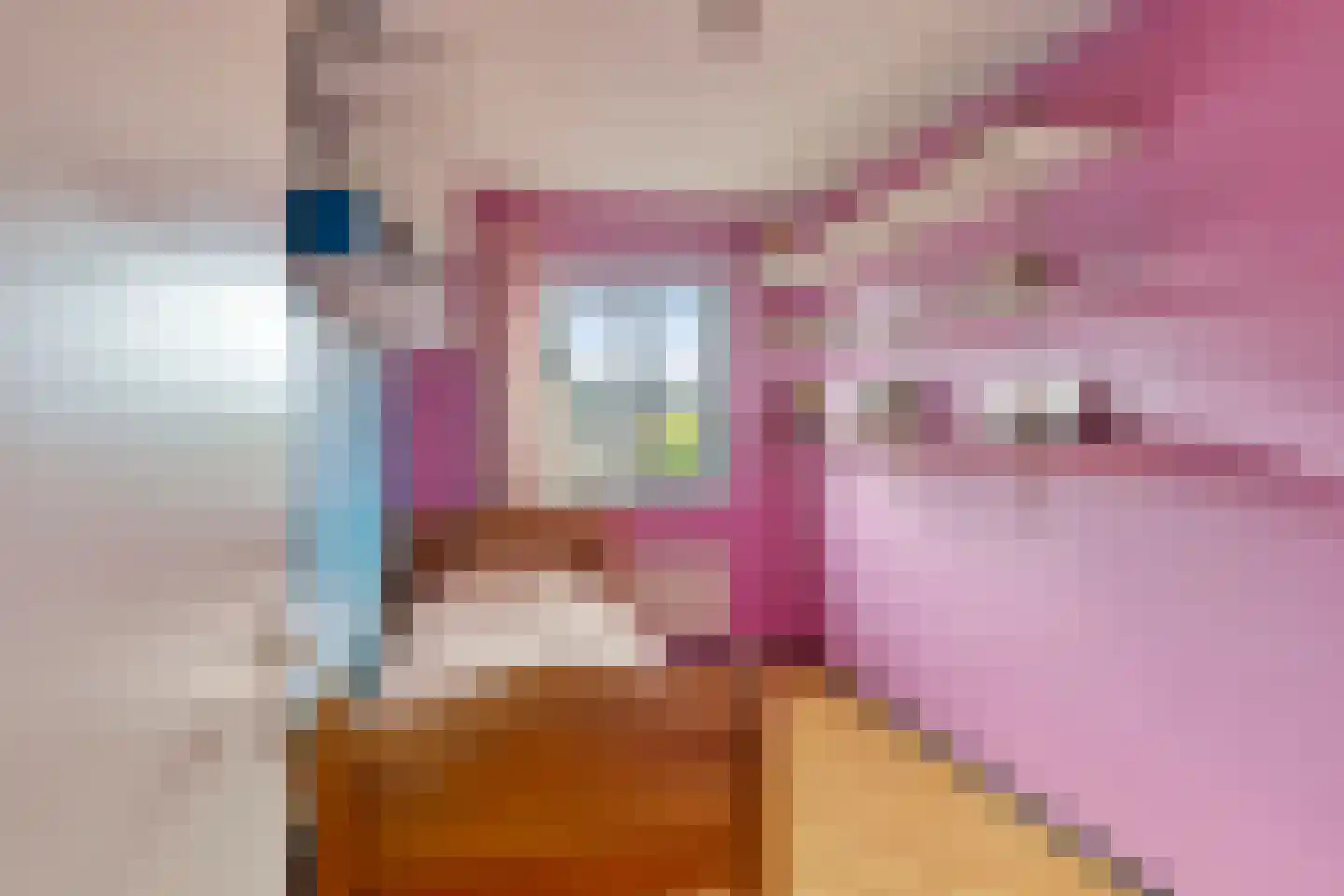 Wethouder Spekkinkstraat 18 Toldijk thumbnail 22