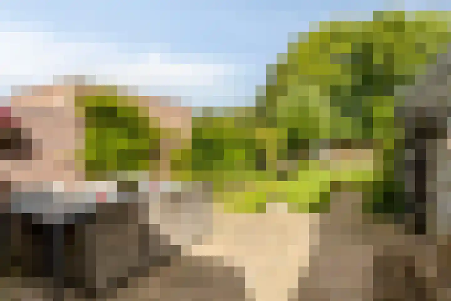 Wethouder Spekkinkstraat 18 Toldijk thumbnail 29