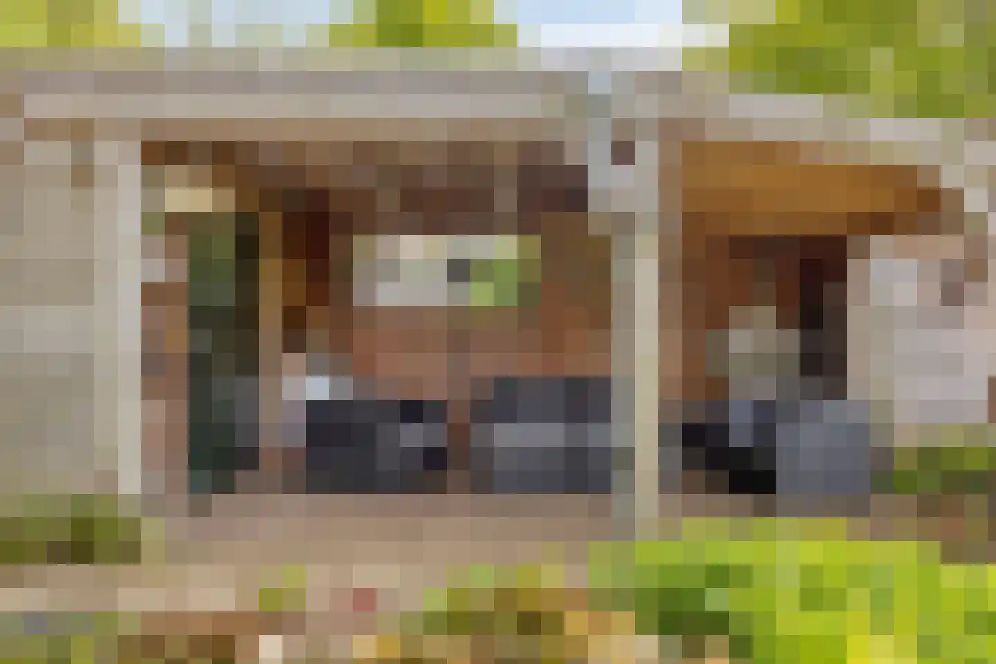 Wethouder Spekkinkstraat 18 Toldijk thumbnail 31