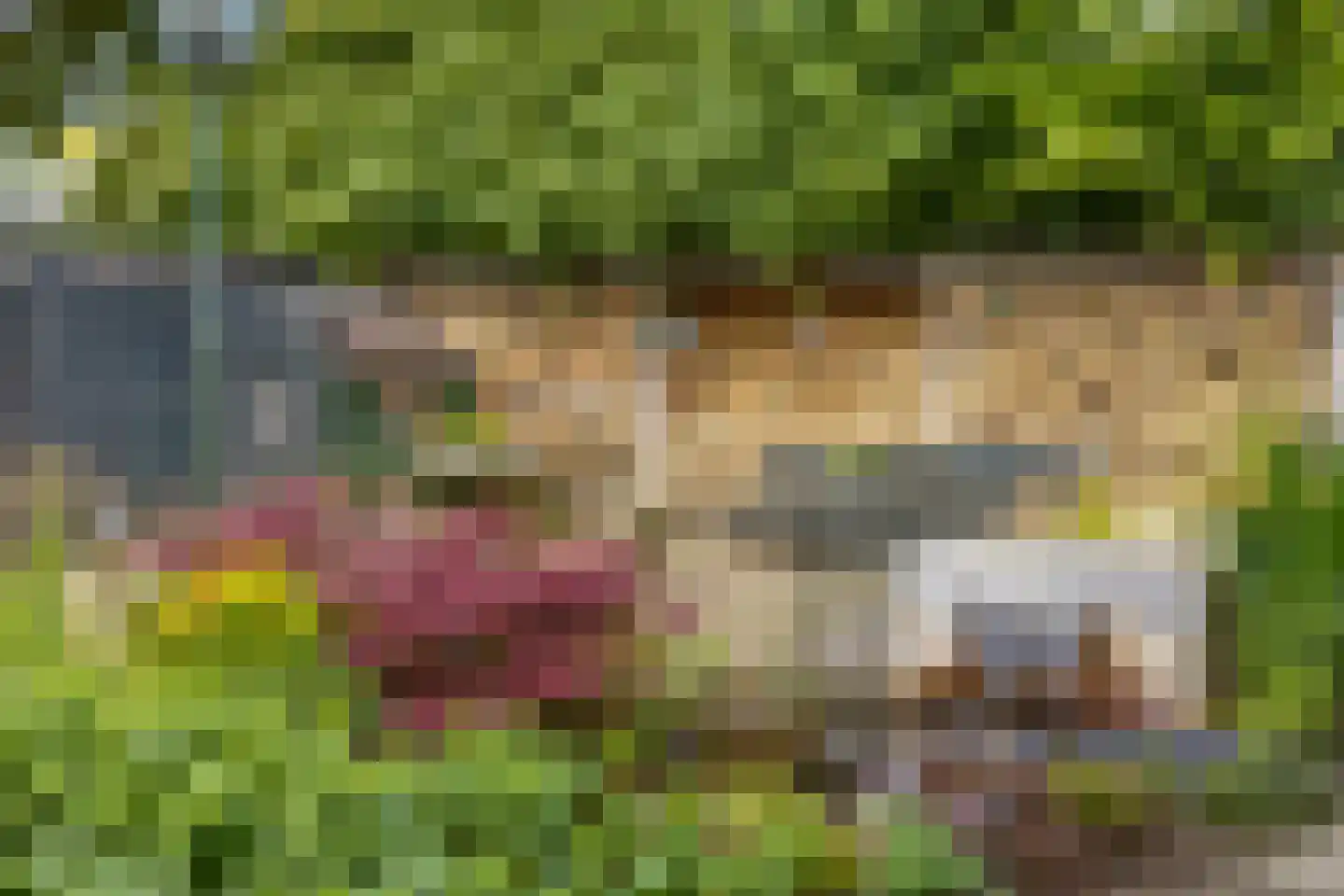 Wethouder Spekkinkstraat 18 Toldijk thumbnail 32