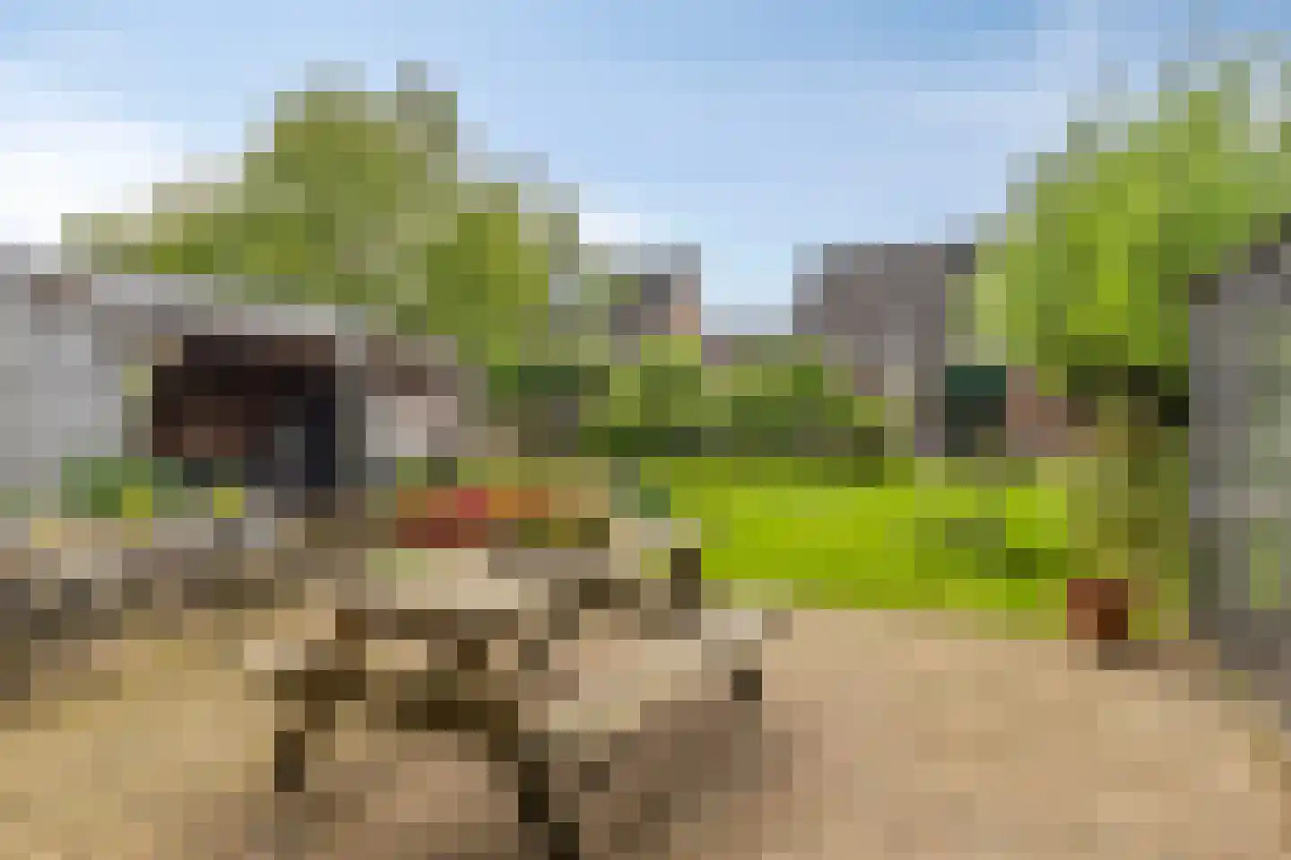 Wethouder Spekkinkstraat 18 Toldijk thumbnail 33