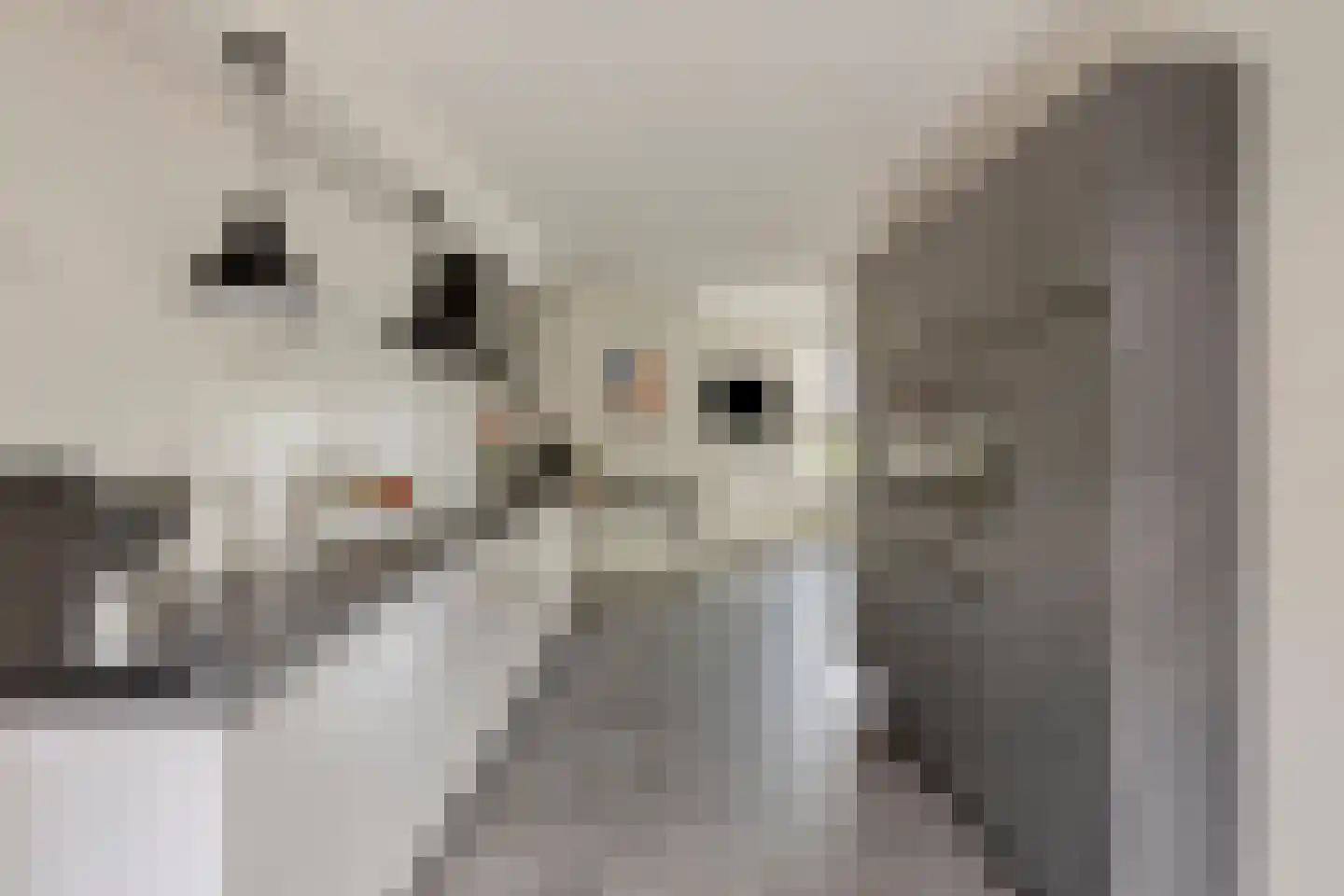 Wethouder Spekkinkstraat 18 Toldijk thumbnail 4